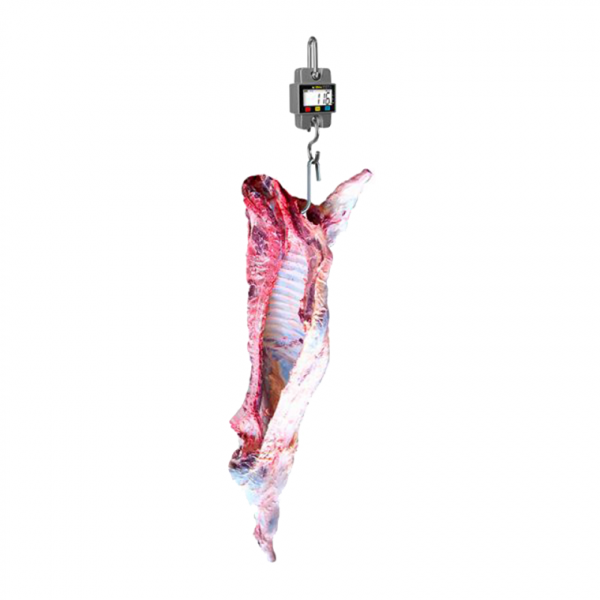 Báscula Electrónica Colgante 300 Kg BAC-300 - Imagen 2